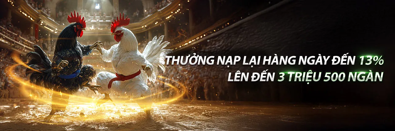 Hình ảnh chính trang Điều khoản và Điều kiện do99 trang chủ chính thức
